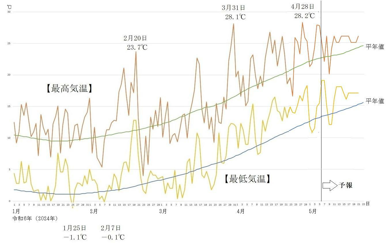 図6　東京の最高気温と最低気温の推移（5月6日以降はウェザーマップの予報）