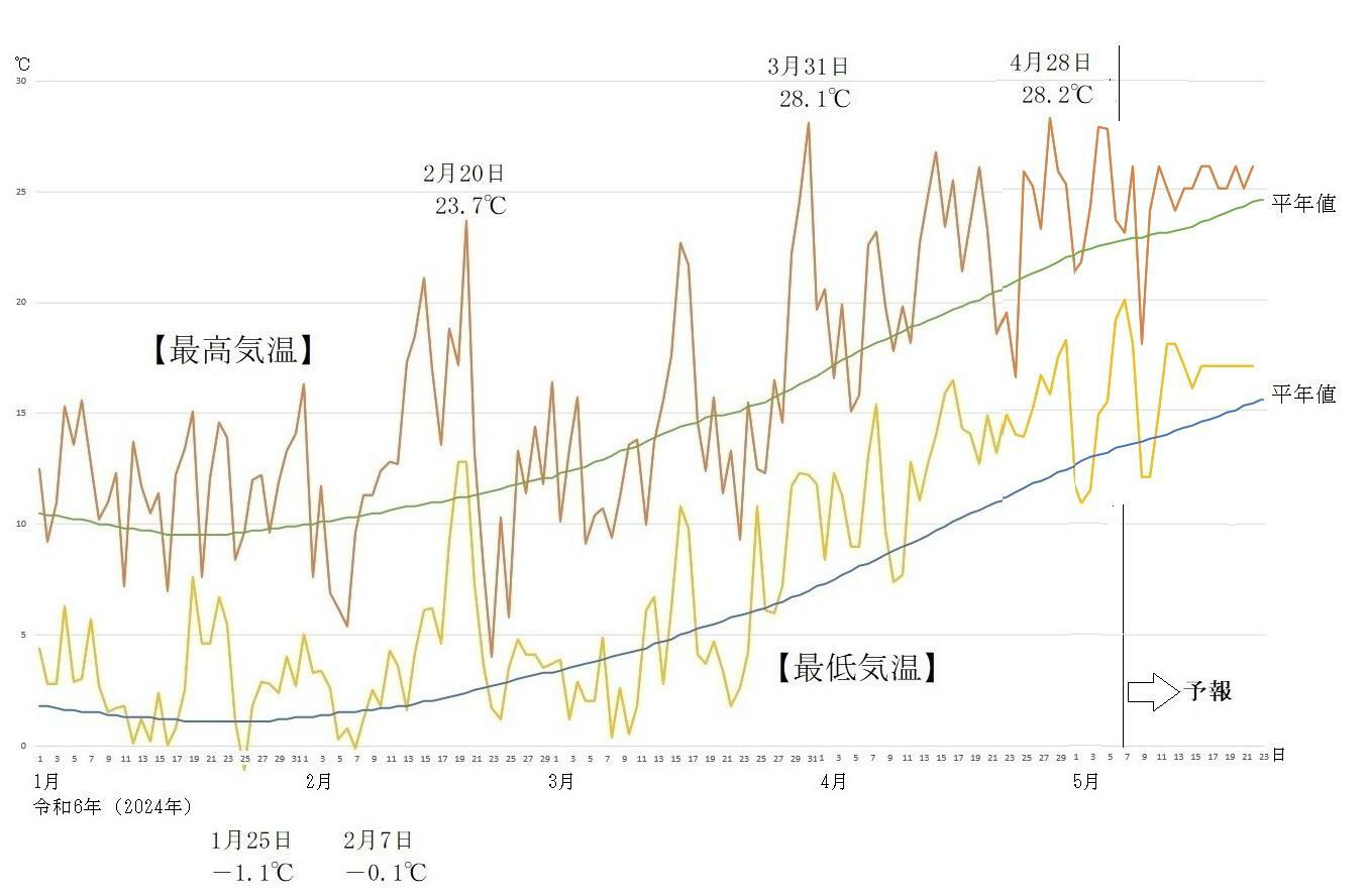 図7　東京の最高気温と最低気温の推移（5月7日以降はウェザーマップの予報）