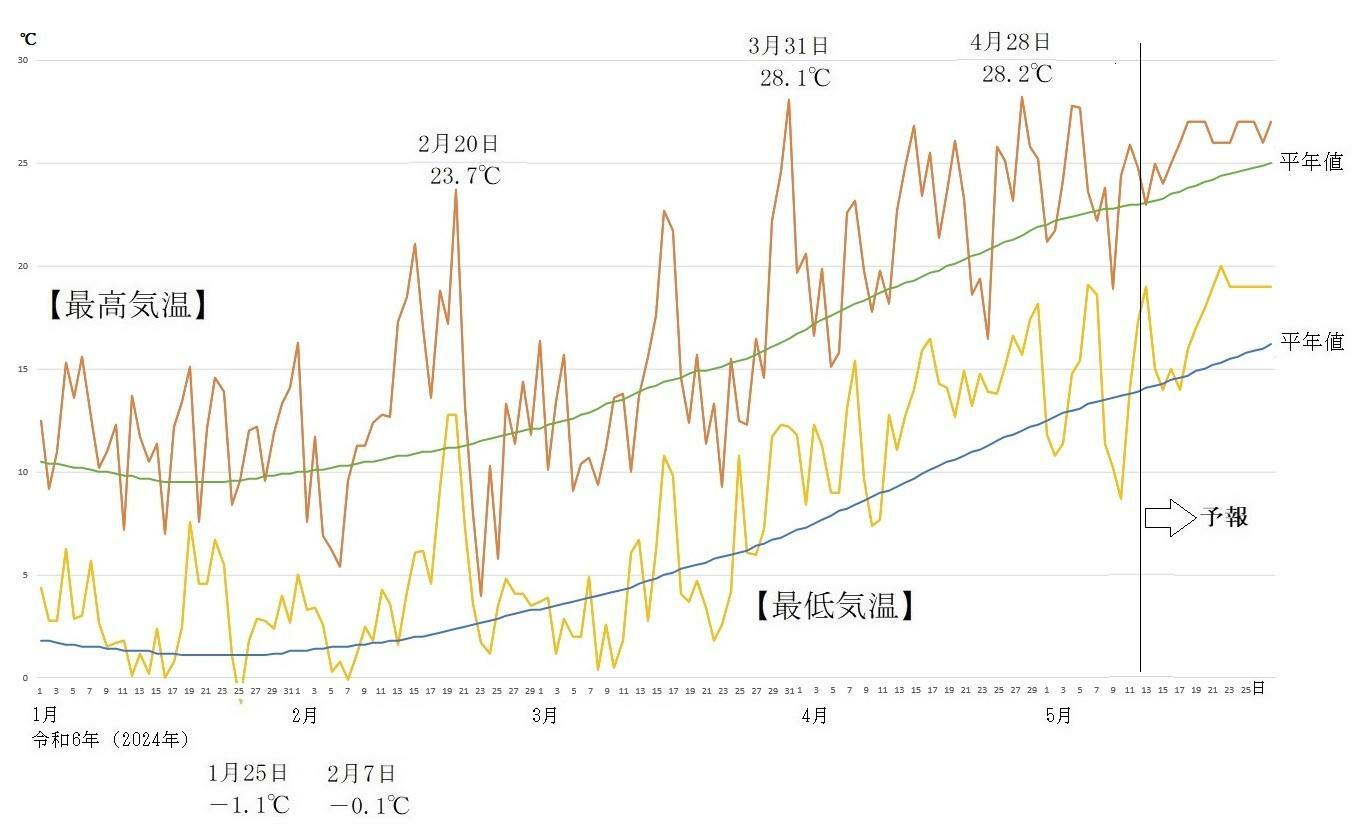 図4　東京の最高気温と最低気温の推移（5月13日以降はウェザーマップの予報）