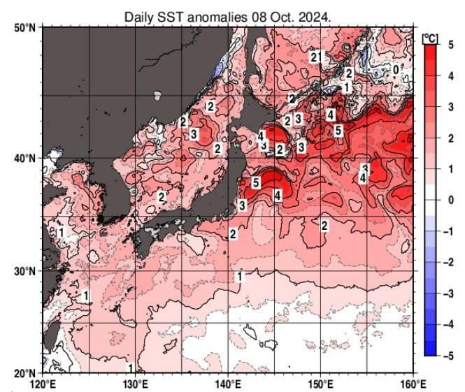 図1　海面水温の平年との偏差