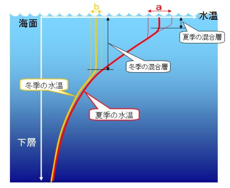 図2　冬季（b）と夏季（a）の水温鉛直分布の違い