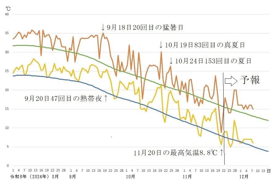 図2　令和6年（2024年）8月以降の東京の最高気温と最低気温の推移（11月22日以降はウェザーマップの予報）