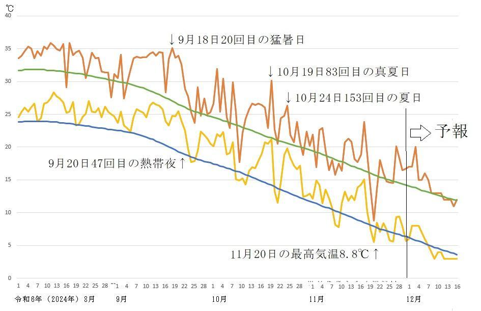 図3　令和6年（2024年）8月以降の東京の最高気温と最低気温の推移（12月1日以降はウェザーマップの予報）