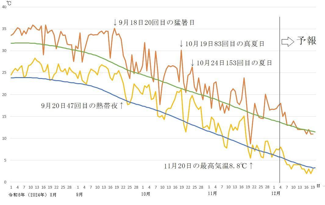 図2　令和6年（2024年）8月以降の東京の最高気温と最低気温の推移（12月4日以降はウェザーマップの予報）