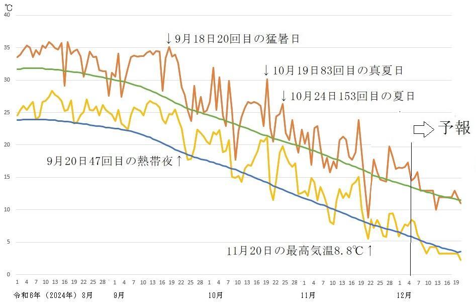 図4　令和6年（2024年）8月以降の東京の最高気温と最低気温の推移（12月6日以降はウェザーマップの予報）