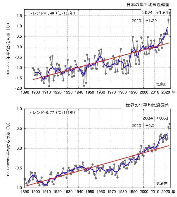 図1　日本（上段）と世界（下段）の年平均気温の経年変化（令和6年（2024年）は速報値）