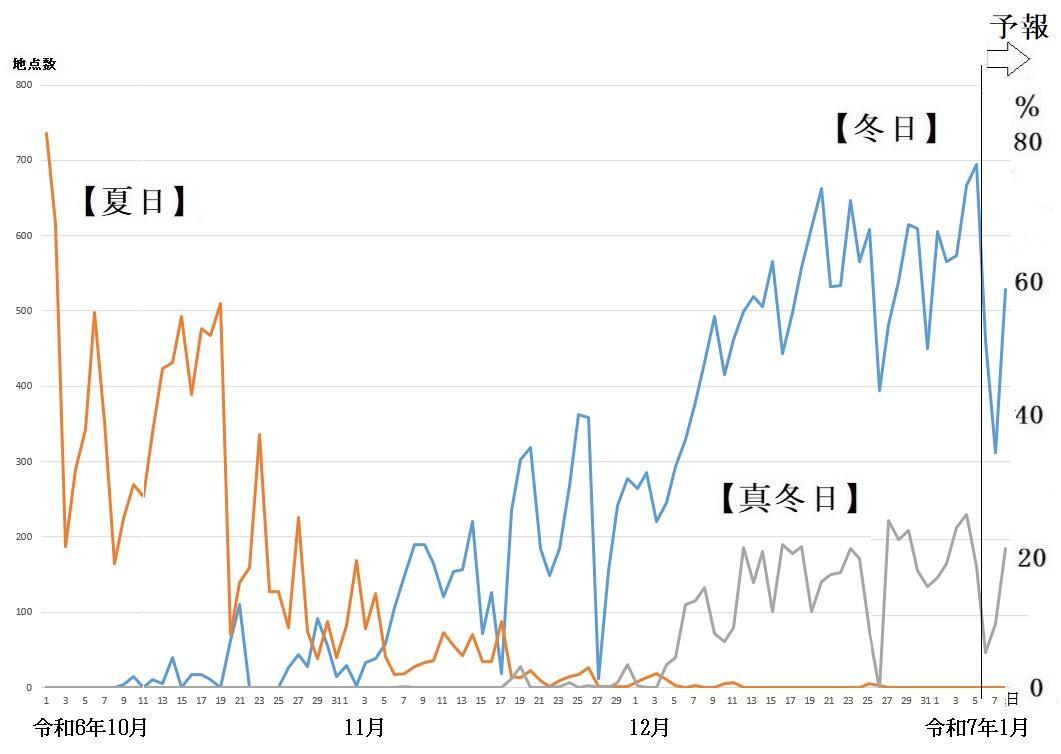 図5　夏日、冬日、真冬日の観測地点数の推移（1月6日以降は予報）