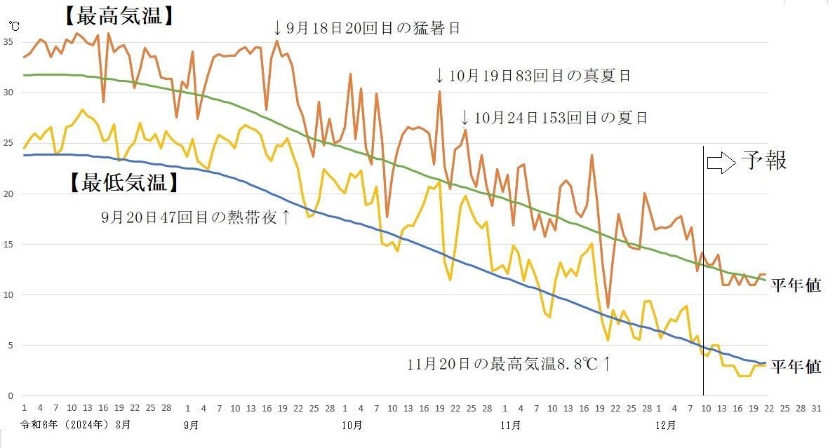 図3　令和6年（2024年）8月以降の東京の最高気温と最低気温の推移（12月9日以降はウェザーマップの予報）