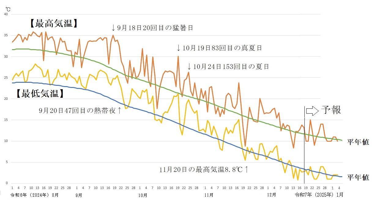 図5　令和6年（2024年）8月以降の東京の最高気温と最低気温の推移（12月19日以降はウェザーマップの予報）