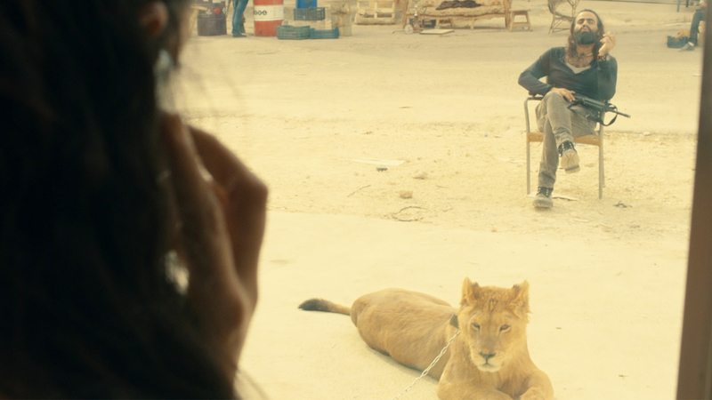2007年にライオンを巡る争いがガザ地区で起きた。この映画は、この事件に女性たちが巻き込まれたらという発想から生まれたという