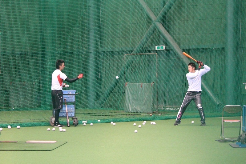 休日の安芸ドーム。互いにトスしあってティー打撃をする一二三選手(左)と横田選手。