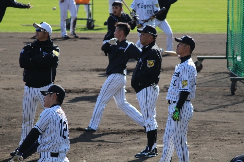 原口選手の打球を目で追う監督、コーチと…やっぱり鶴岡さんも(笑)。