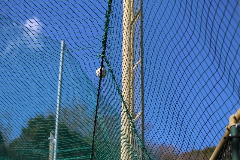 ライトフェンスの外側、通路上のネットに乗ってから落ちてきた打球。