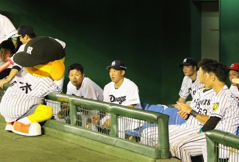 そのキー太は中日ファン？友永選手にご執心(笑)。それを見る阪神の選手たち。