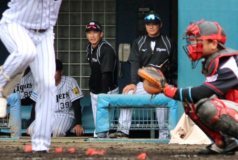 3回の攻撃中、打席の西田選手を見つめる矢野監督(ベンチ左側)。