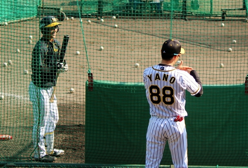 27日、特打中の熊谷選手(左)に何かを話す矢野監督。ちなみにこれが初めての上着なしの姿です。