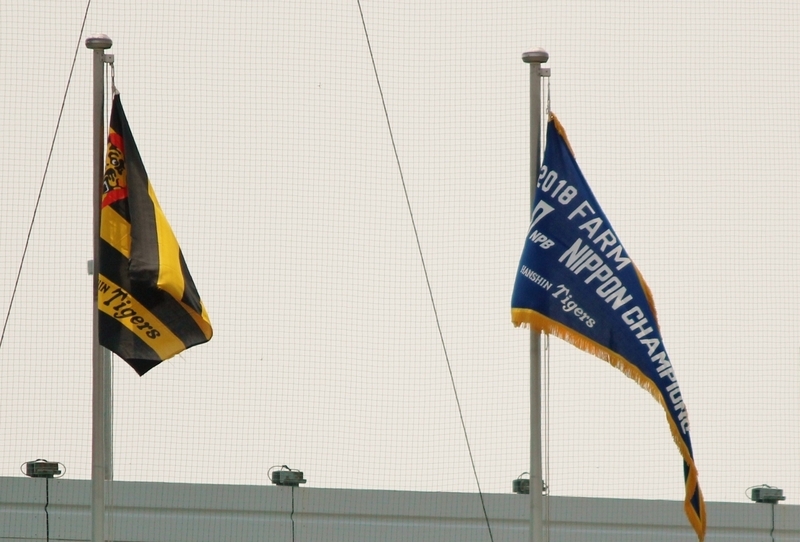 球団旗の右に掲げられた『ファームチャンピオンフラッグ』。12年ぶりに鳴尾浜へ戻ってきました。