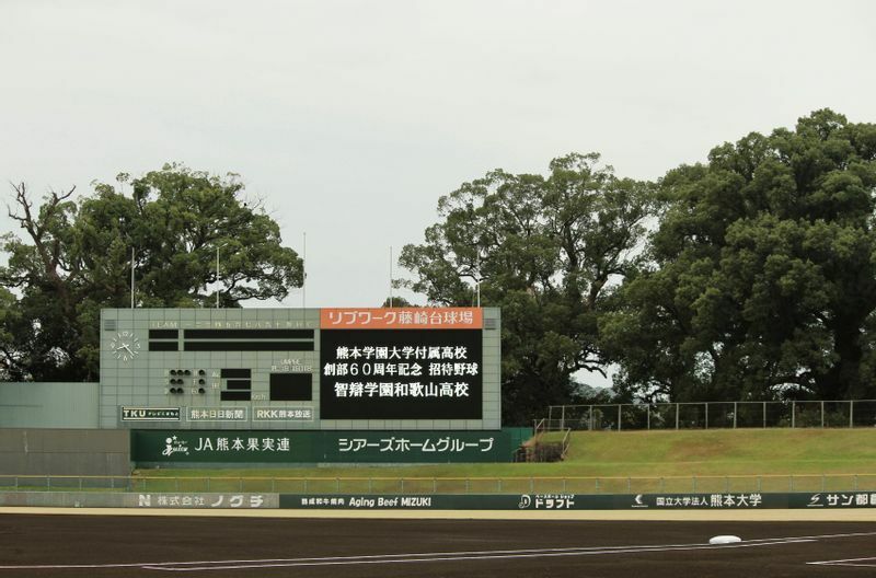 リブワーク藤崎台球場がある熊本城公園には県の木・クスノキがたくさん見られます。