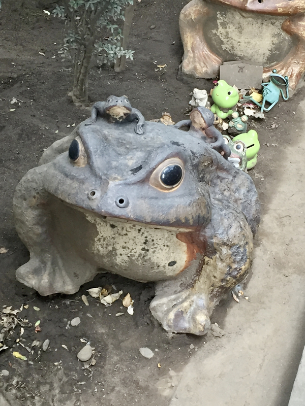 将門塚のカエル(筆者撮影)
