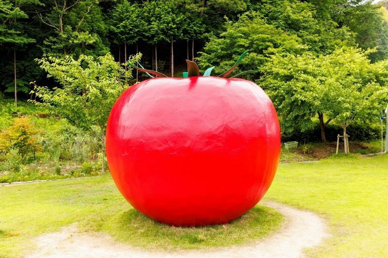 “トマトづくし”のテーマパーク「ワンダーファーム」のビッグトマト