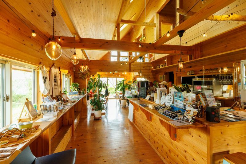 久保田さんの営むカフェ「SEA SAW」店内。木目の居心地のいい空間が広がっています