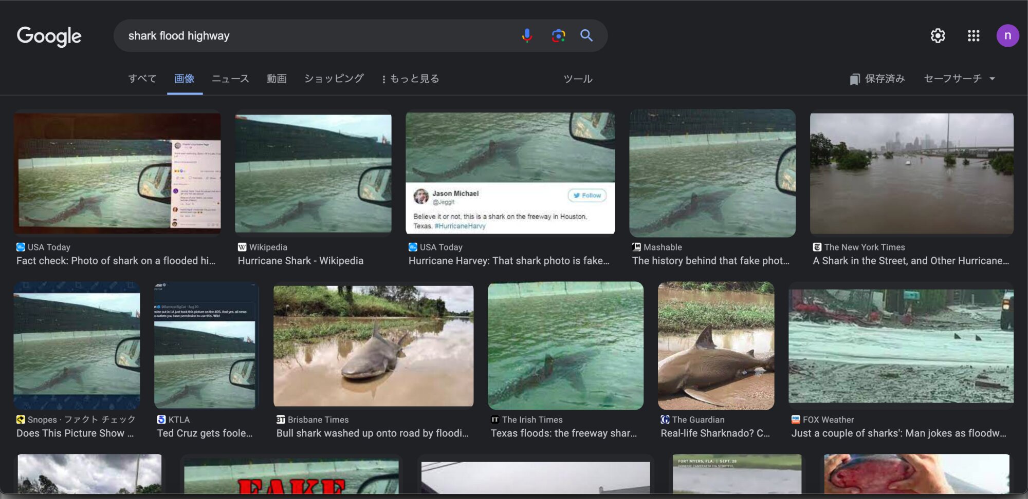 車のサイドミラーが写り込む同じサメのニセ画像がウェブ上にたくさんポストされている。