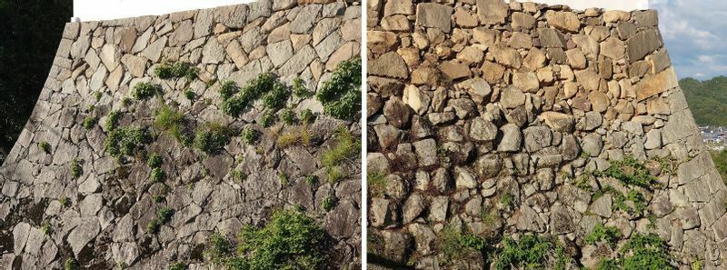 櫓の左右で石の積まれ方が異なる石垣。石垣が積まれた年代の違いによるもので、アプリのおかげで気づくことができた（筆者撮影）