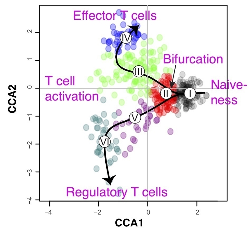 腫瘍浸潤T細胞の1細胞解析, Bradley et al, Front Immunol, 2018より改変