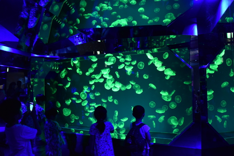 名古屋港水族館は国内３位の年間約200万人の入館者を集める。昨年7月オープンの新展示「くらげなごりうむ」は子どもたちにも大人気