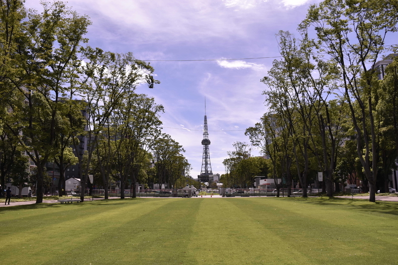 公園最北部から名古屋テレビ塔を望む。都心部でこれだけ広い芝生広場があるのは非常に貴重