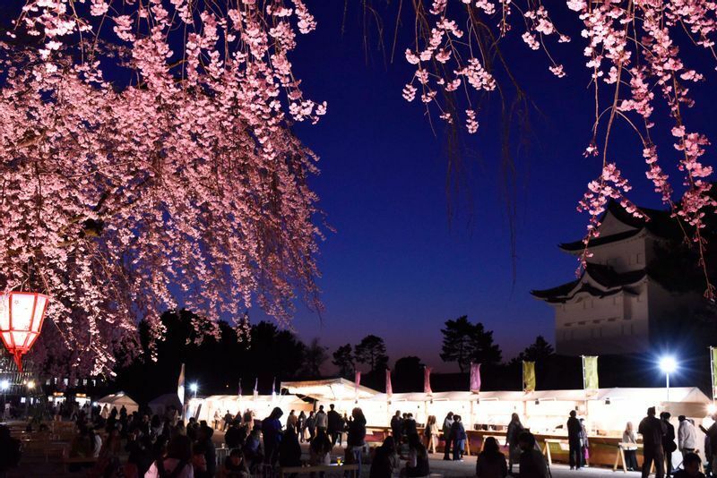 名古屋城は約1000本の桜が咲き誇る市内屈指の桜の名所でもある。「名古屋城春まつり」内企画「桜まつり」は4月10日まで。ライトアップされ19時半まで入場可（20時閉門）