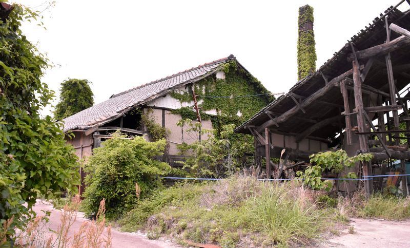 ジブリ映画に出てきそうな東窯工業の工場群。蔦が覆う煙突が空に伸びる風景は常滑ならでは。残念ながらこの5月中にすべて取り壊される予定となっている。場所はINAXライブミュージアムのすぐ西側