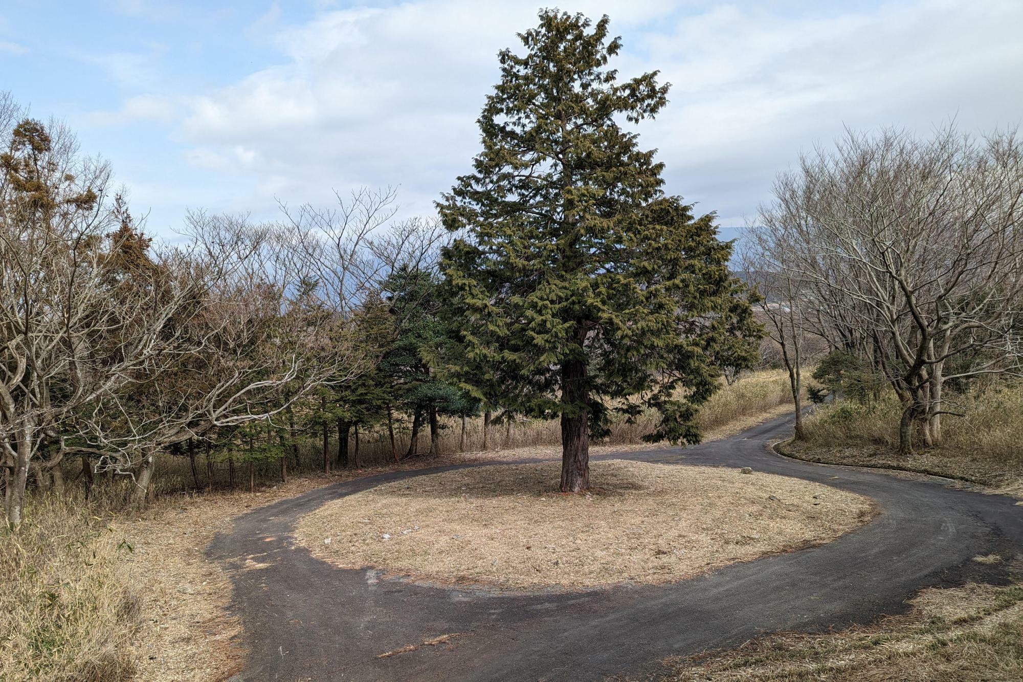 三重県いなべ市の山奥にひそむ謎の三連ロータリー。大きな木を囲む円形の道路がなぜか3つも続く。番組では2023年3月に放送（画像提供／鹿取茂雄さん）