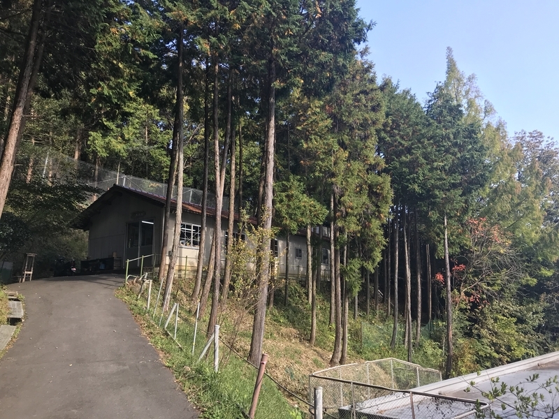 校地のいちばん高いところにロサドさんの木工小屋はある（著者撮影）