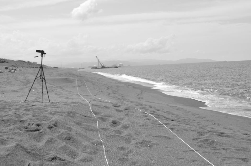 図2 ビーチカスプ地形の砂浜海岸（筆者撮影）