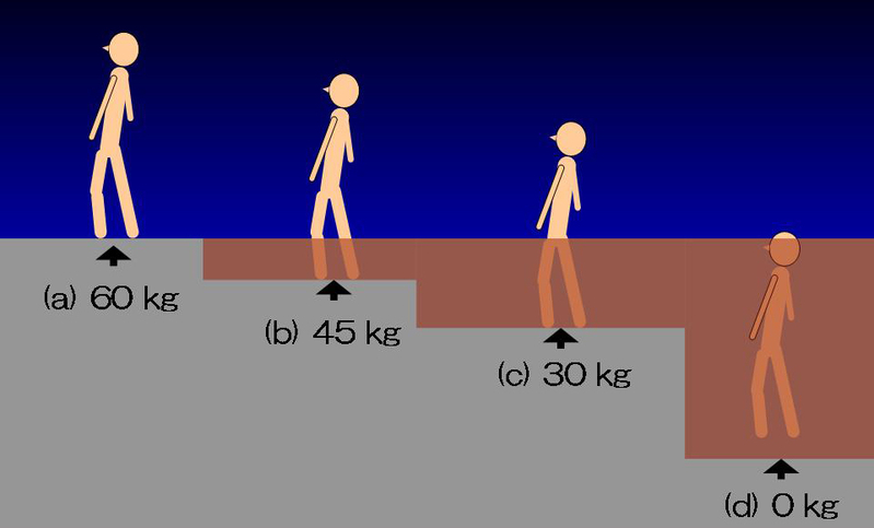 図1 水深により60 kgの人の体重をどれくらい地面が支えているか。全身が水に浸かると人体は浮遊するので0 kgとなる（筆者作成）