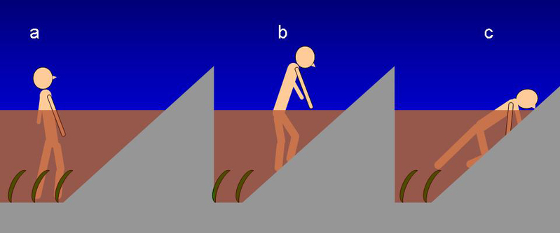 図2 (a)田畑にトラップされた状態 (b)斜面を上がる時、腰までは上がれる (c)腰より上がろうとすると足が滑って上がれない。（筆者作成）