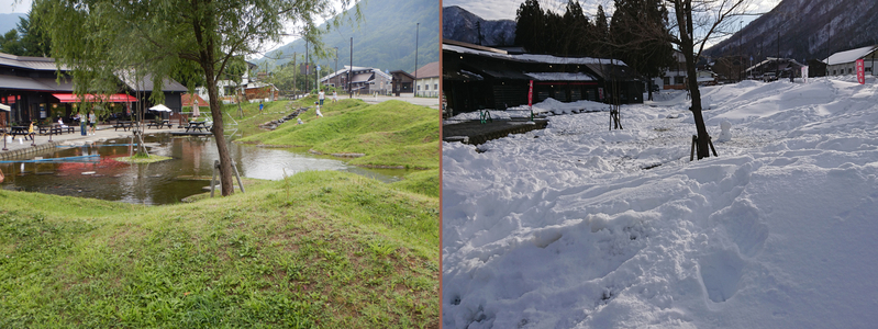 図1 新潟県湯沢町にある観光施設の池の様子。左図は夏の池の様子、右図はこの冬の池の様子。いつもなら雪の山となっているのに、小雪で池がむき出しに（筆者撮影）