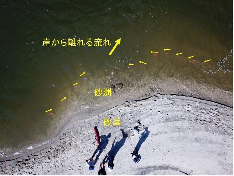 図3 災害点付近の流れ。黄色矢印は水中に設置した吹き流し（赤）の方向を示す（事故調撮影）