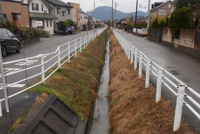 図3 新潟県内の住宅地の間を流れる用水路とその両岸に設置された柵（筆者撮影）