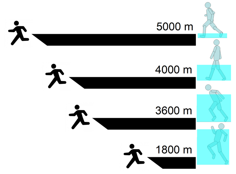 図2 プールの水中で1時間当たりに進むことのできる距離の一例。身長170 cmの筆者の場合（筆者作成）