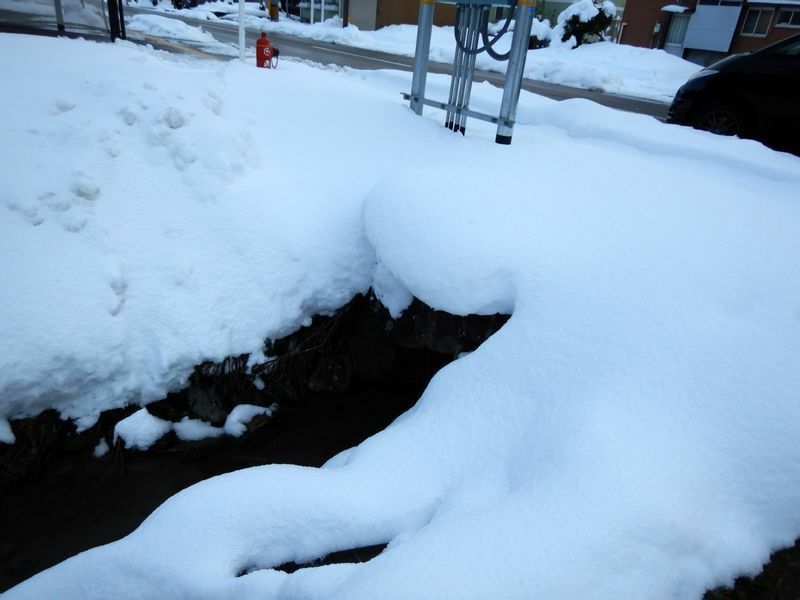 図4 水路に張り出した雪庇の例。積雪の分だけ水路が深くなっていることにも注意（筆者撮影） 