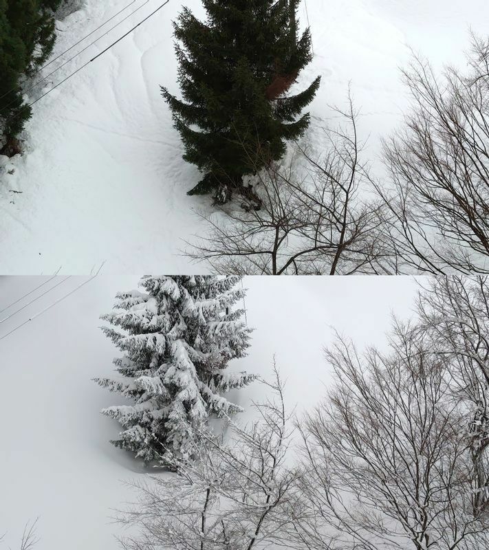 図2 新雪が積もる前（上）のツリーホールと50 cmほど新雪が降り積もった後（下）のツリーホール（筆者撮影）