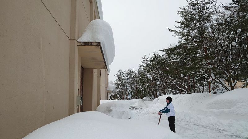 今朝のゼミは、雪庇の危険と除雪の仕方の講習会だった（1月12日9:00長岡技術科学大学研究室前で筆者撮影）