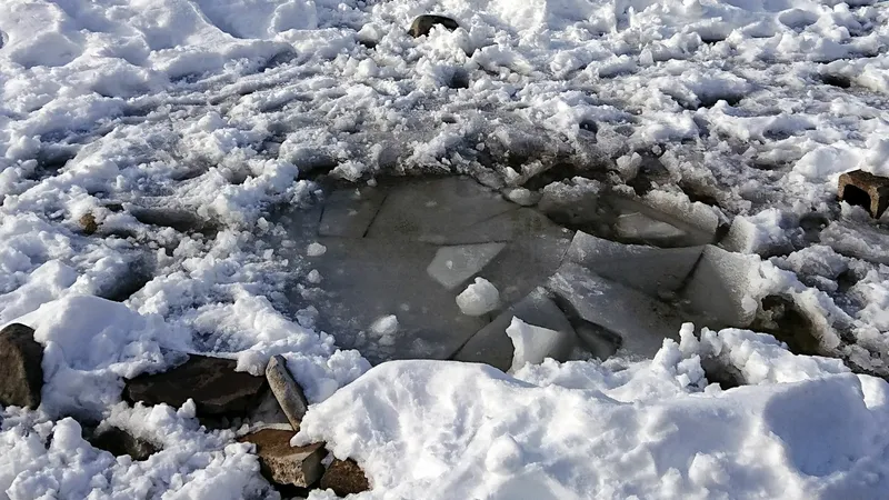 氷が割れて溺れた なぜ池の氷の上に乗ってはいけないのか 斎藤秀俊 個人 Yahoo ニュース