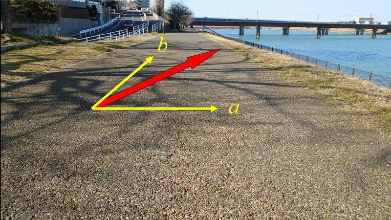 図3  事故現場の堤防通路の様子。下流に向かって撮影している。子供の乗った自転車の走行方向は赤矢印のとおり。この矢印に従った傾斜がついている（筆者撮影）