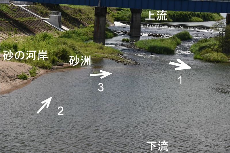 図1 事故現場の下流にある白幡橋の上からの撮影。砂の河岸は左に見ることができる。川の流れは上流から矢印１に示した本流と、矢印２、３に示した循環流が見られた。図中央から少し上に砂嘴が見える（筆者撮影）