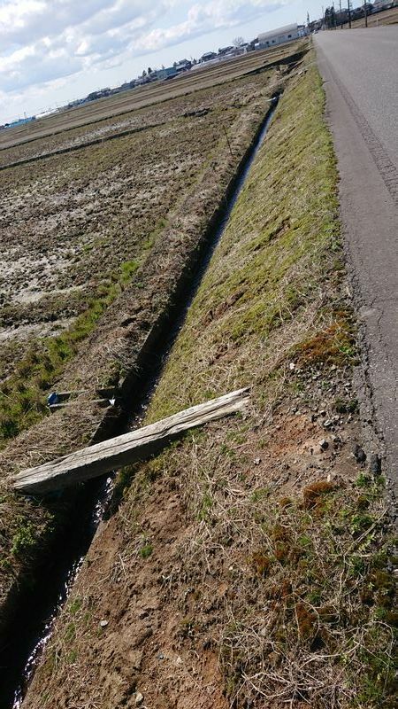 図2 このような小さな用水路でも溺水が発生する。よそ見しながら徒歩でまたぐと転落し頭をうち、意識朦朧となりながら溺れる（筆者撮影）