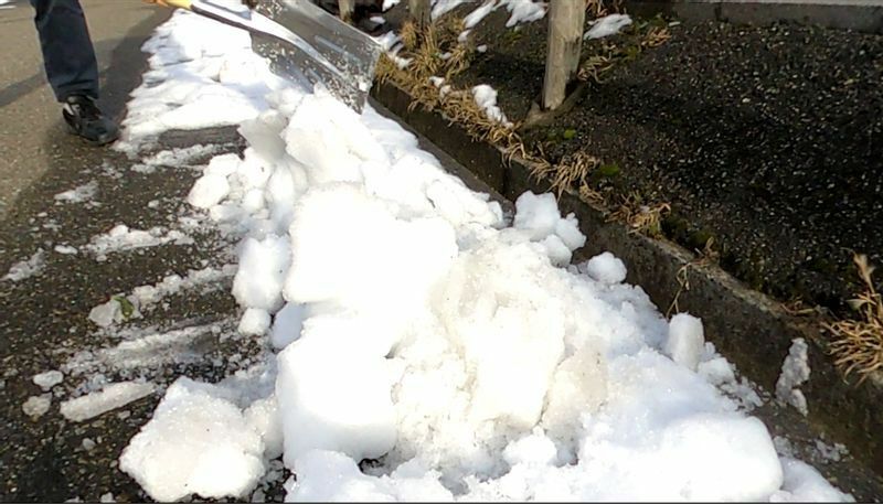 図2 路肩の側溝脇の除雪方法。写真のように側溝に落ちた雪はできるだけ、路肩に戻す（筆者撮影）