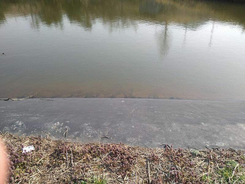 図3 ため池斜面のゴム製遮水シートに残された跡。明確に見える跡はその太さから足で擦った跡と思われる（4月6日水難学会撮影）